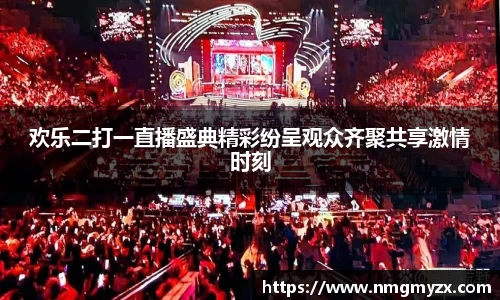 欢乐二打一直播盛典精彩纷呈观众齐聚共享激情时刻