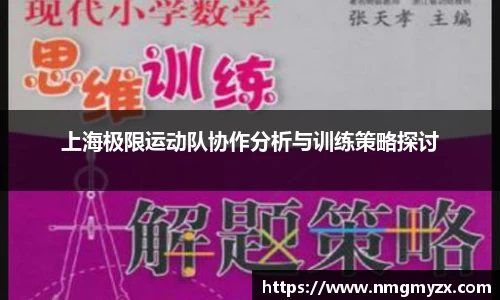 上海极限运动队协作分析与训练策略探讨